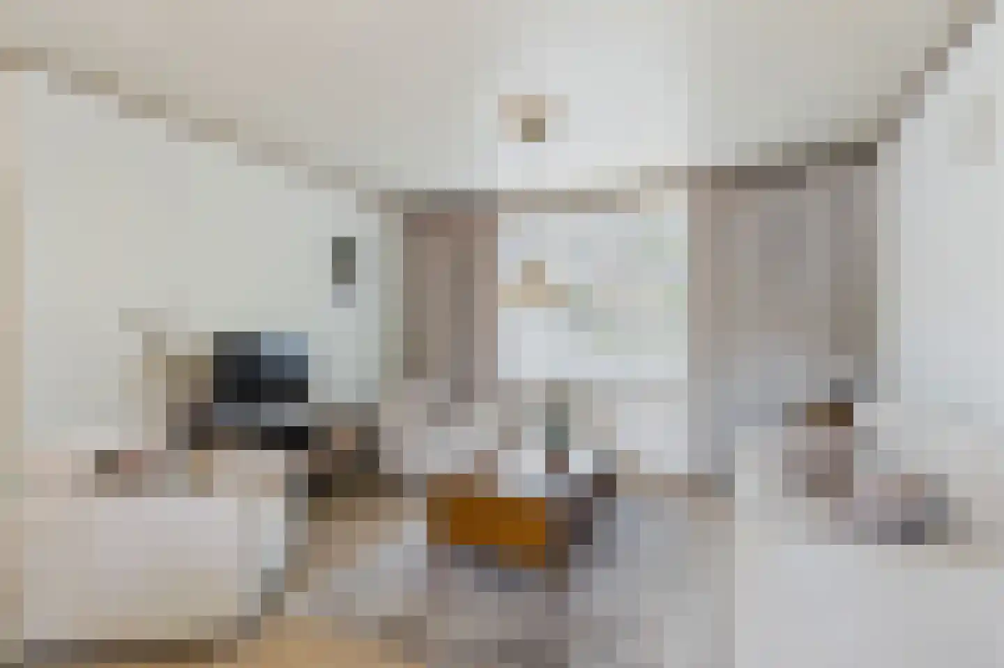 Molenstraat 45 Clinge thumbnail 13