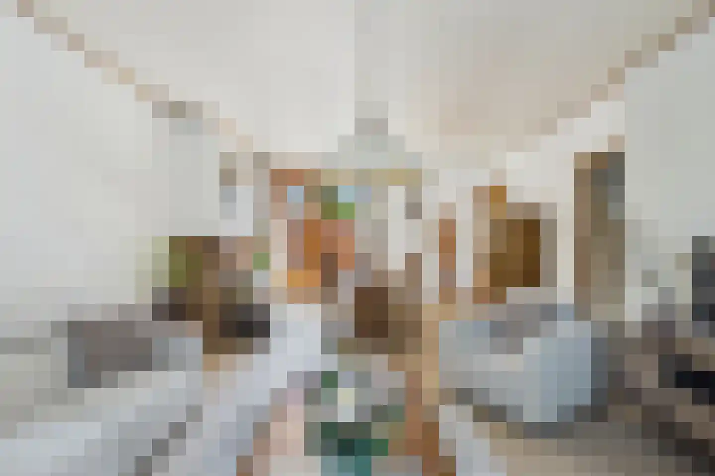 Molenstraat 45 Clinge thumbnail 15