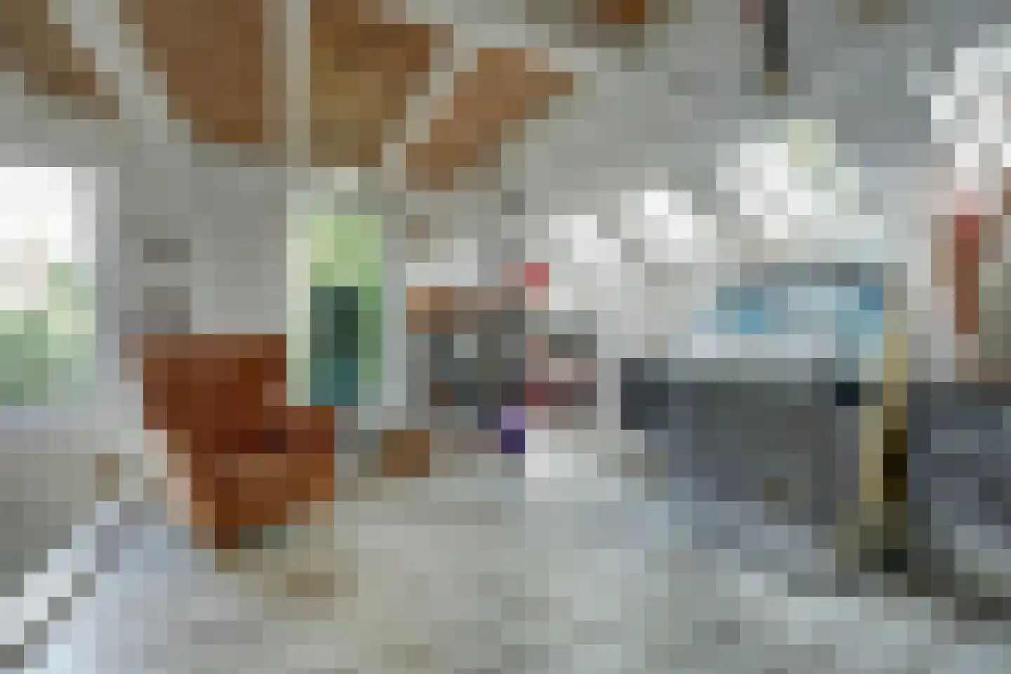 Molenstraat 45 Strijen thumbnail 10