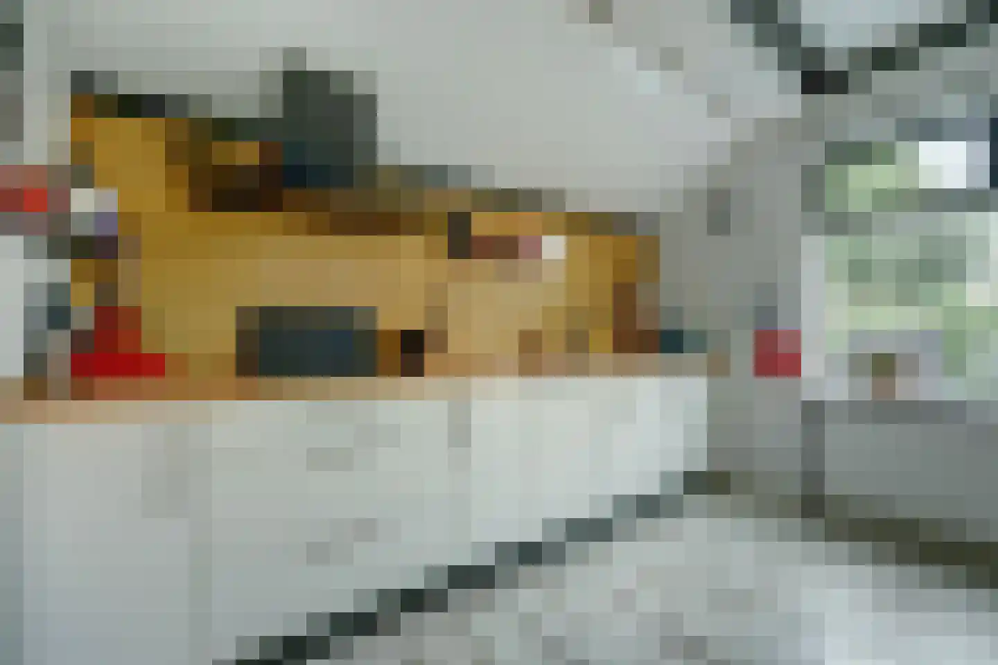 Molenstraat 45 Strijen thumbnail 19