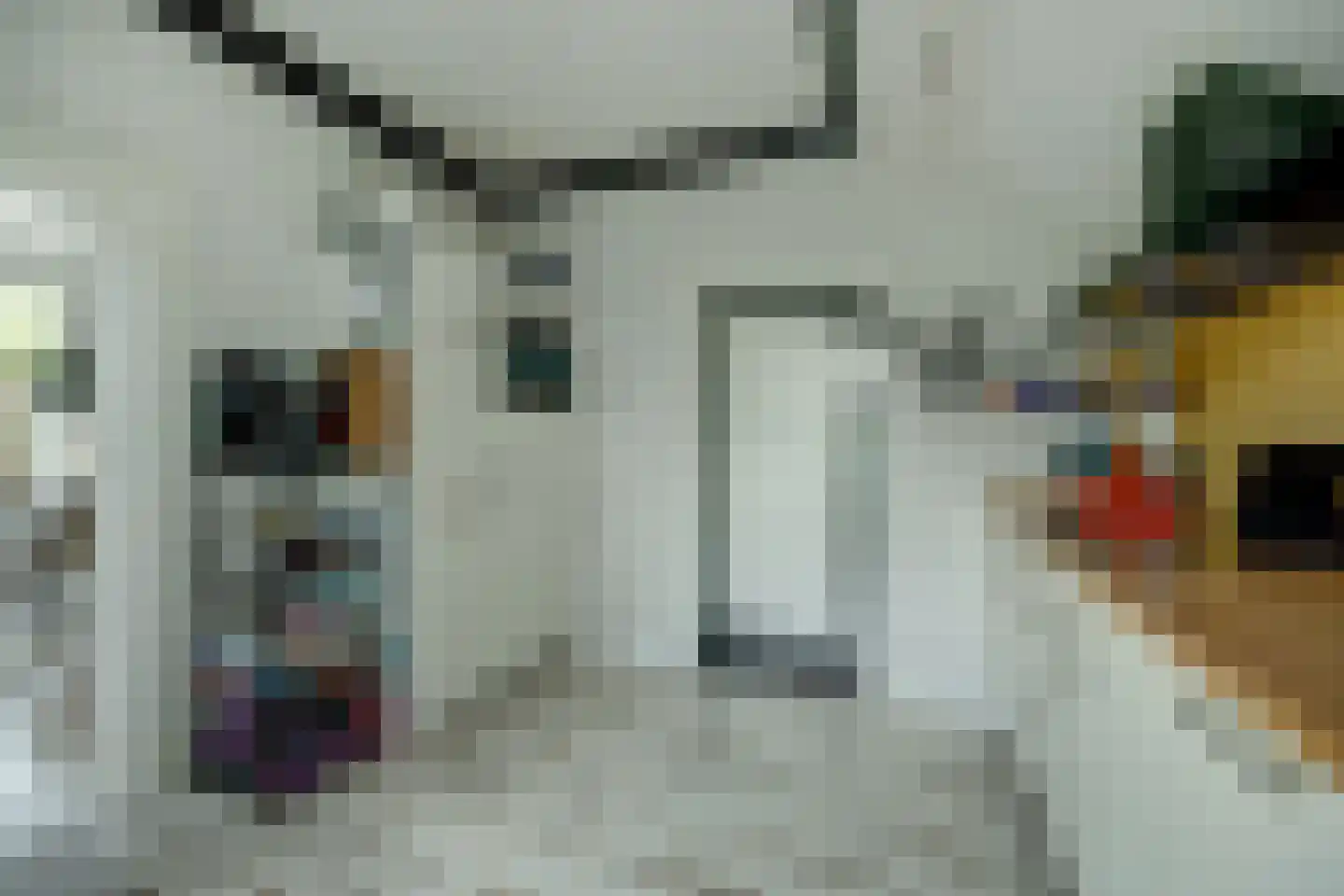 Molenstraat 45 Strijen thumbnail 21