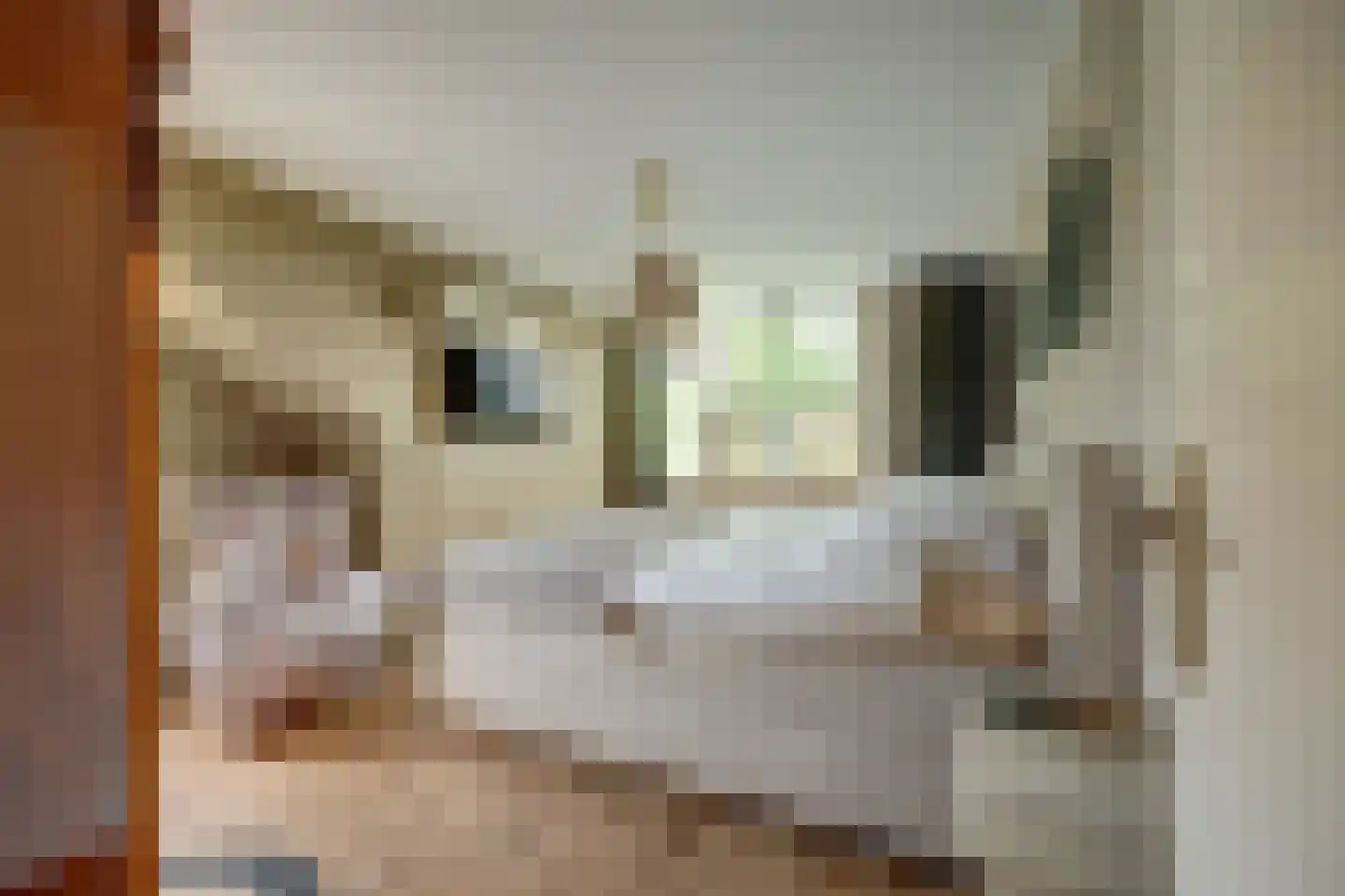 Molenstraat 45 Strijen thumbnail 27