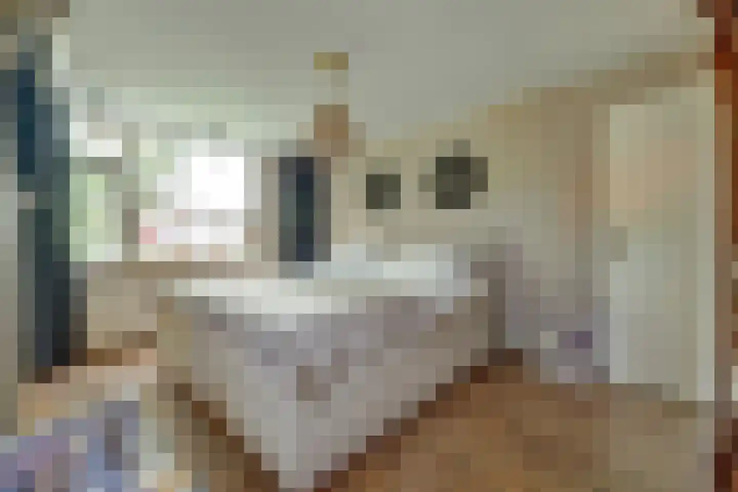 Molenstraat 45 Strijen thumbnail 28