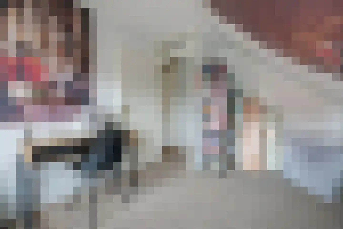 Molenstraat 45 Strijen thumbnail 31