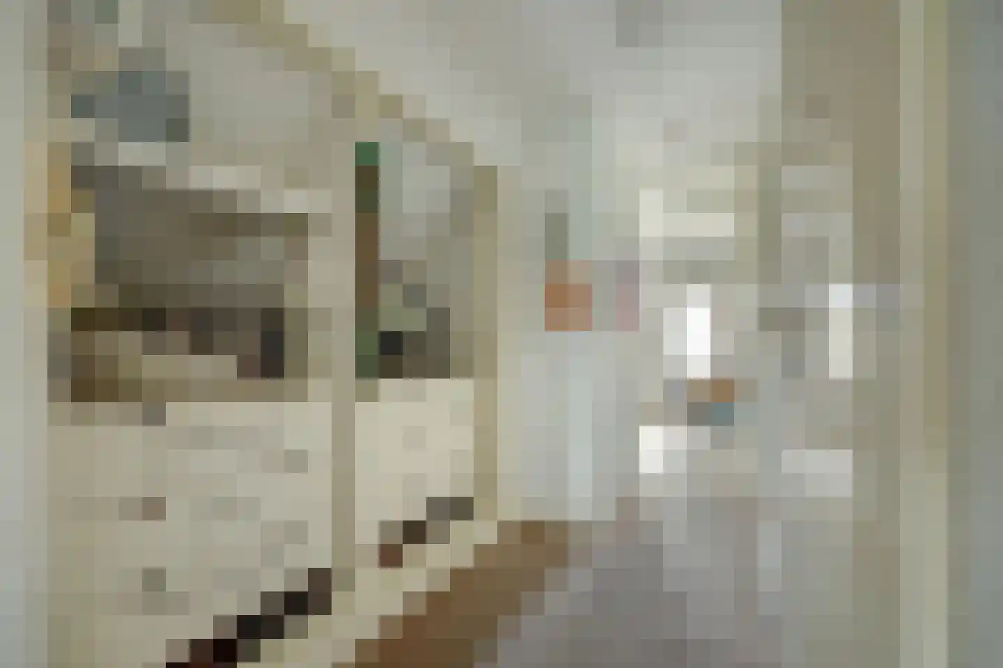 Molenstraat 45 Strijen thumbnail 34