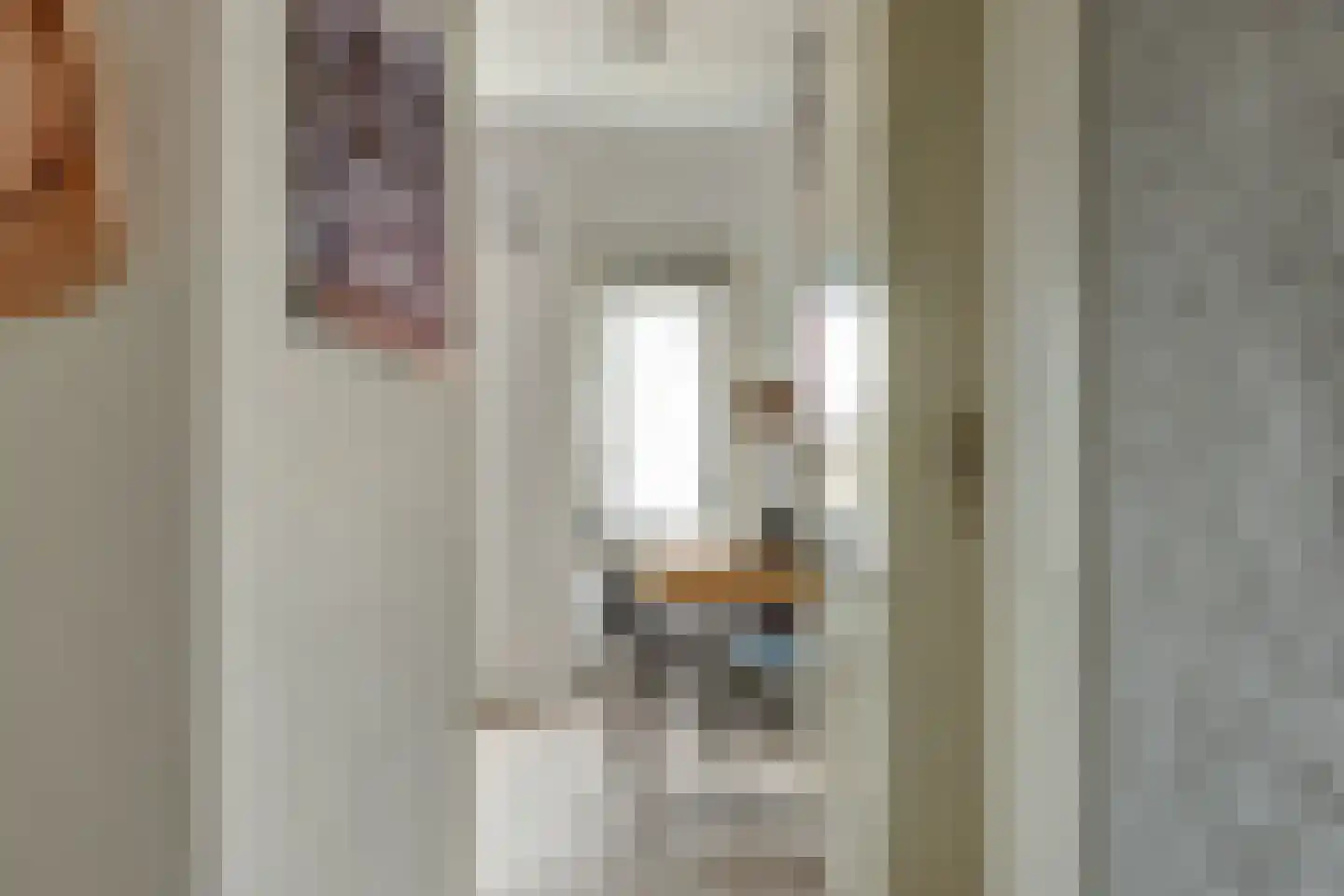 Molenstraat 45 Strijen thumbnail 37