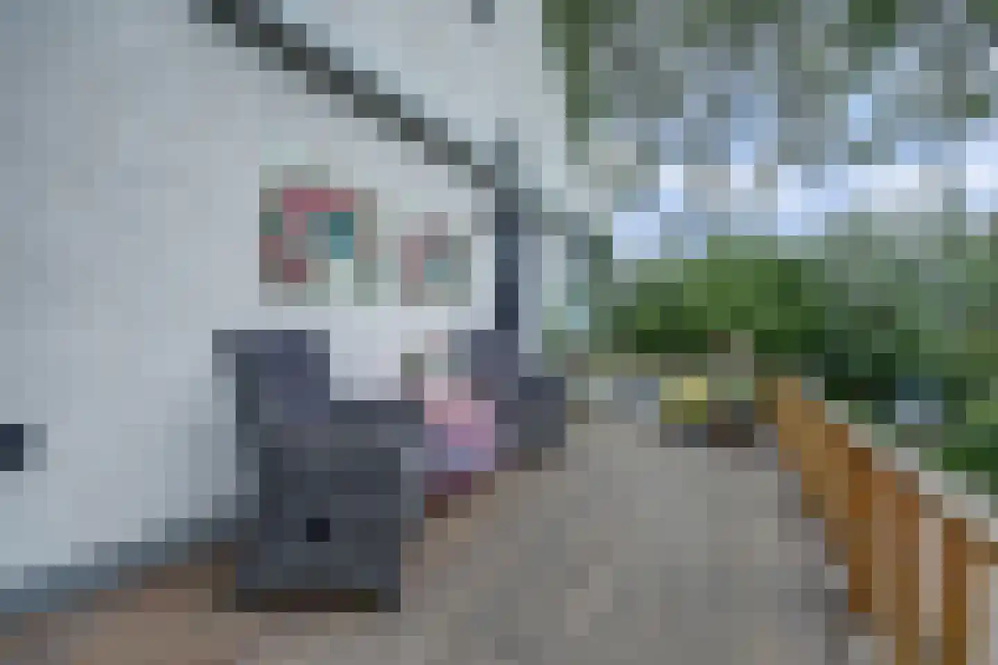 Molenstraat 45 Strijen thumbnail 46