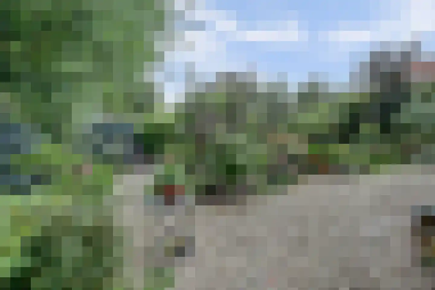 Molenstraat 45 Strijen thumbnail 51