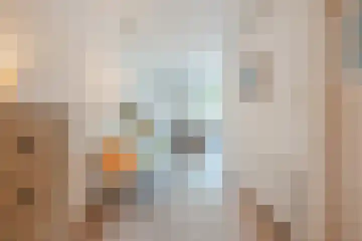 Molenstraat 46 de Wijk thumbnail 10
