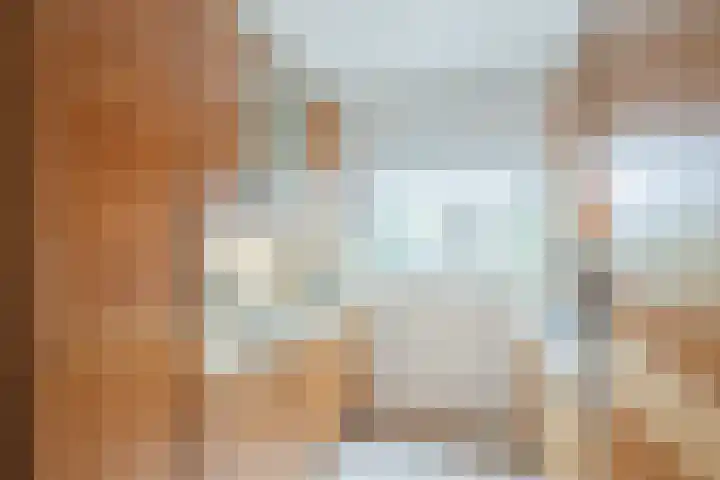 Molenstraat 46 de Wijk thumbnail 12