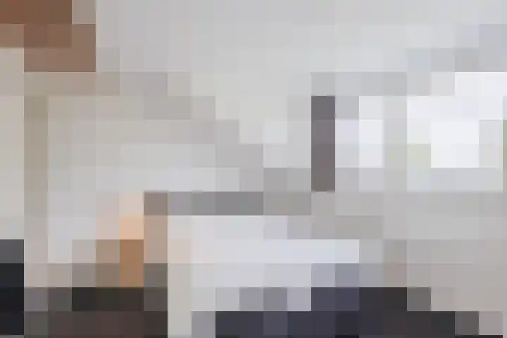 Molenstraat 46 de Wijk thumbnail 21