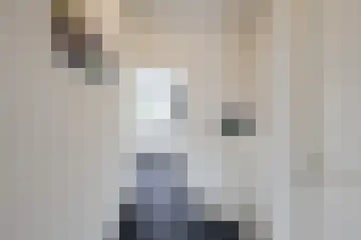 Molenstraat 46 de Wijk thumbnail 25
