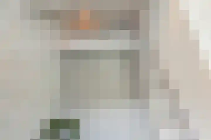 Molenstraat 46 de Wijk thumbnail 28