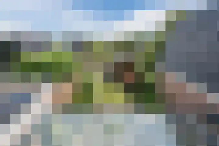Molenstraat 46 de Wijk thumbnail 32