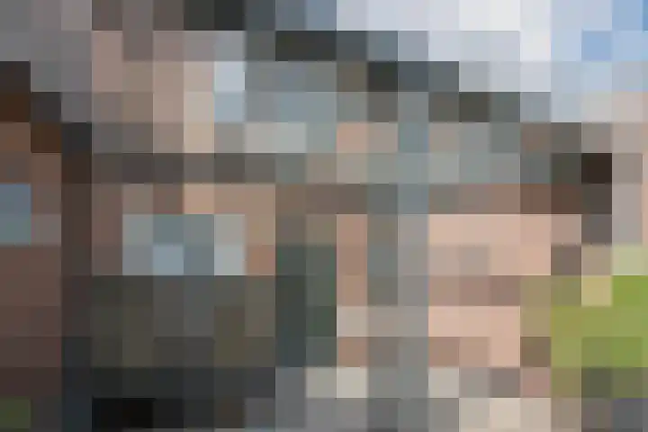 Molenstraat 46 de Wijk thumbnail 34