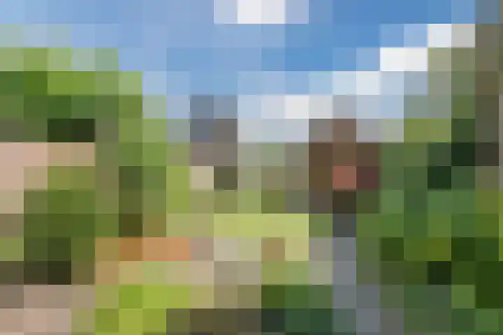 Molenstraat 46 de Wijk thumbnail 38