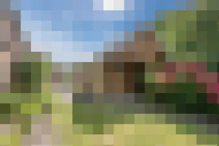 Molenstraat 46 de Wijk thumbnail 39