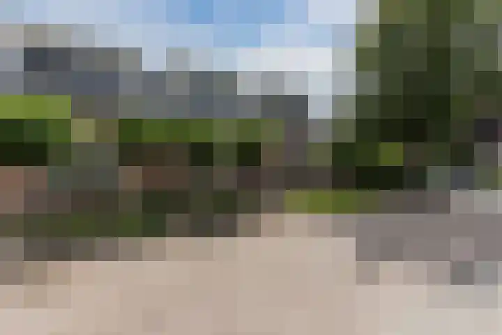 Molenstraat 46 de Wijk thumbnail 4