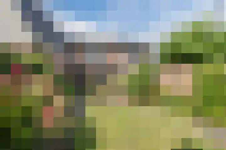 Molenstraat 46 de Wijk thumbnail 40