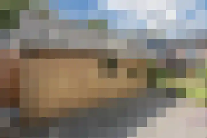 Molenstraat 46 de Wijk thumbnail 42
