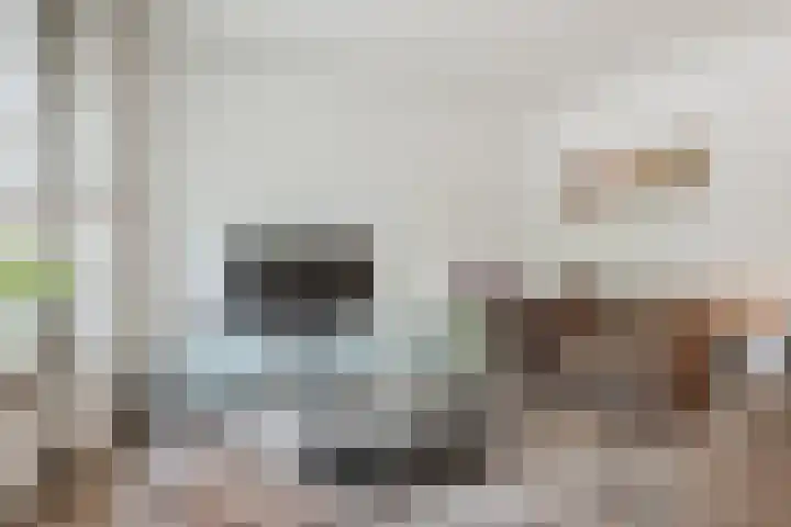 Molenstraat 46 de Wijk thumbnail 7