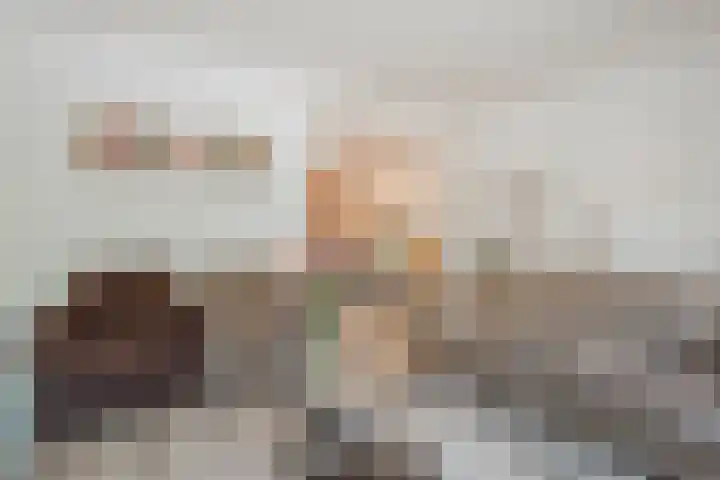 Molenstraat 46 de Wijk thumbnail 8