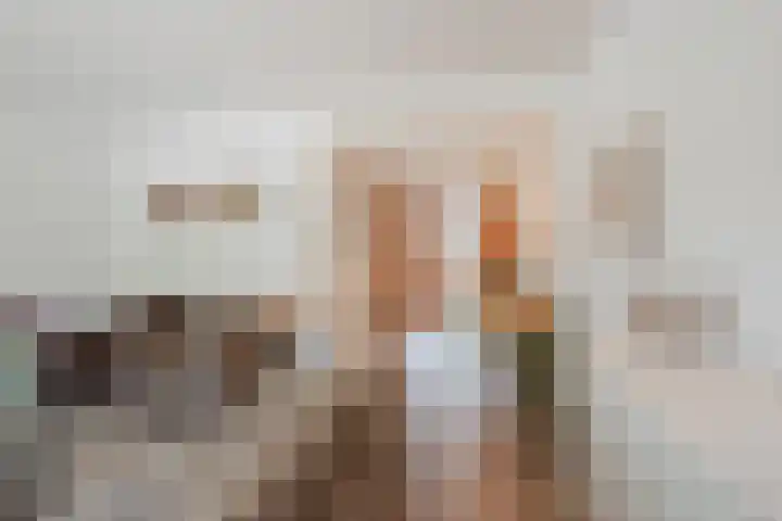 Molenstraat 46 de Wijk thumbnail 9