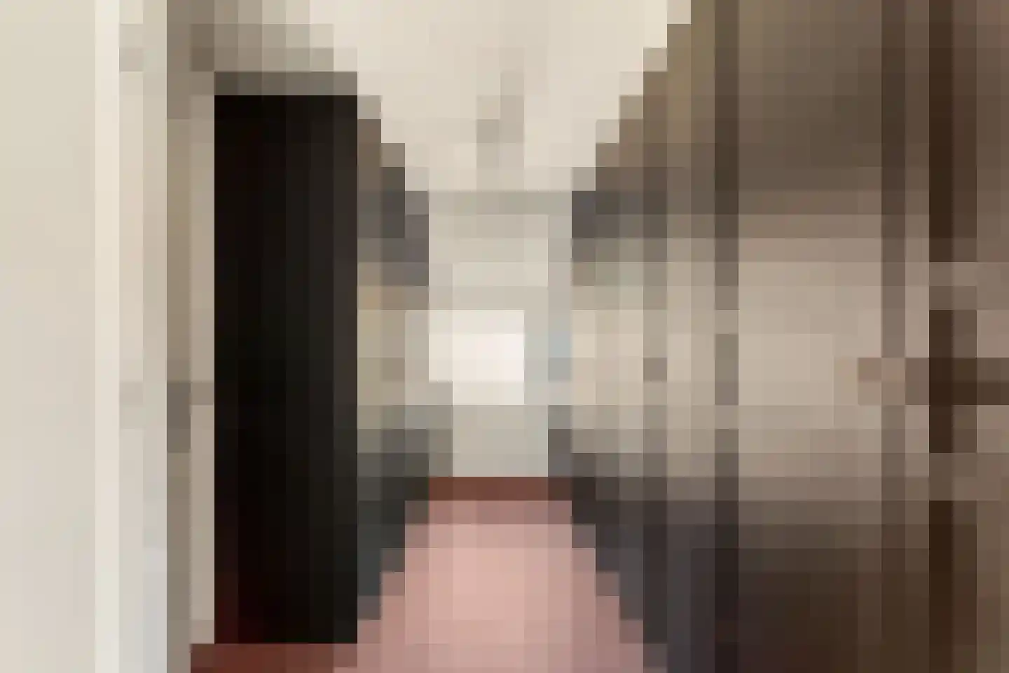 Molenstraat 46 's-Gravenzande thumbnail 22