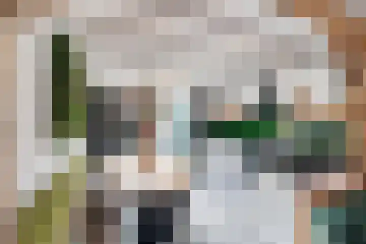 Molenstraat 47 Zoetermeer thumbnail 13