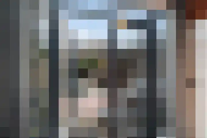 Molenstraat 47 Zoetermeer thumbnail 20