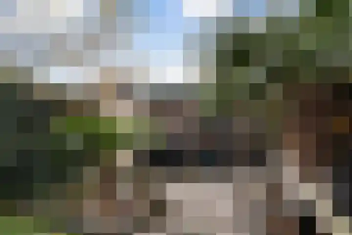 Molenstraat 47 Zoetermeer thumbnail 23
