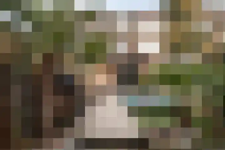 Molenstraat 47 Zoetermeer thumbnail 25