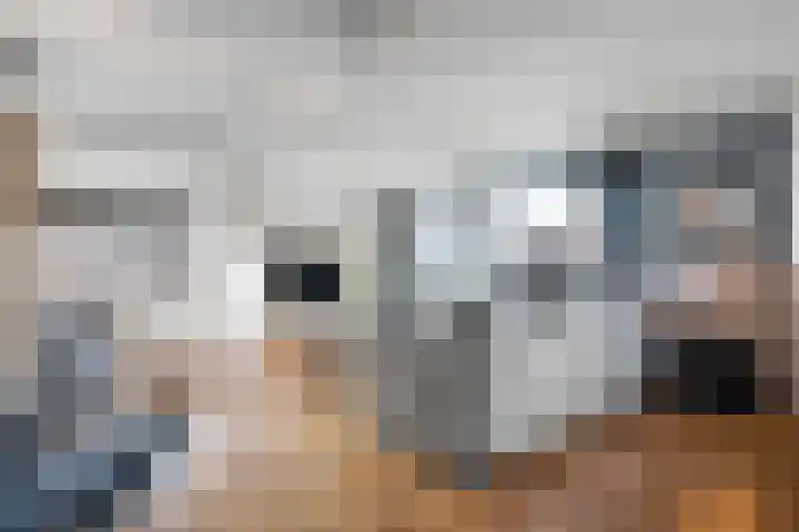 Molenstraat 56 Den Ham thumbnail 11