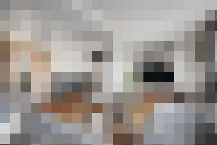Molenstraat 56 Den Ham thumbnail 14