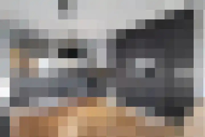Molenstraat 56 Den Ham thumbnail 16
