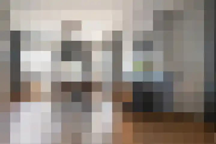 Molenstraat 56 Den Ham thumbnail 18