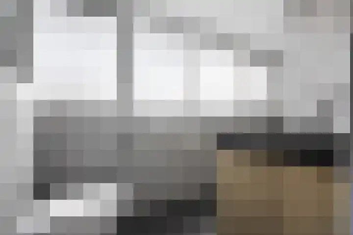 Molenstraat 56 Den Ham thumbnail 28