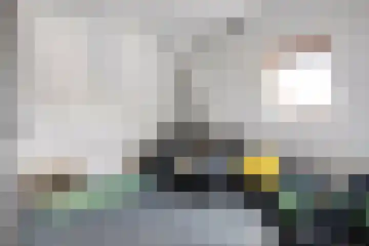 Molenstraat 56 Den Ham thumbnail 36