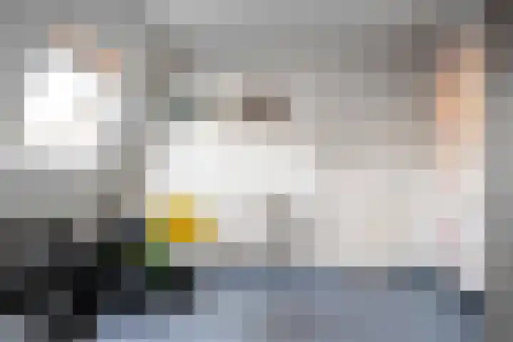 Molenstraat 56 Den Ham thumbnail 37