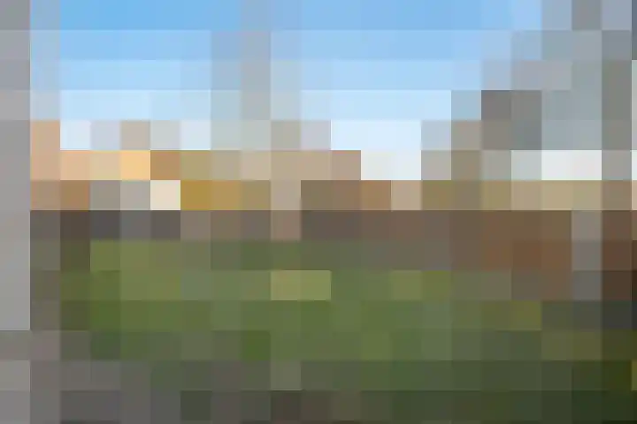 Molenstraat 56 Den Ham thumbnail 6