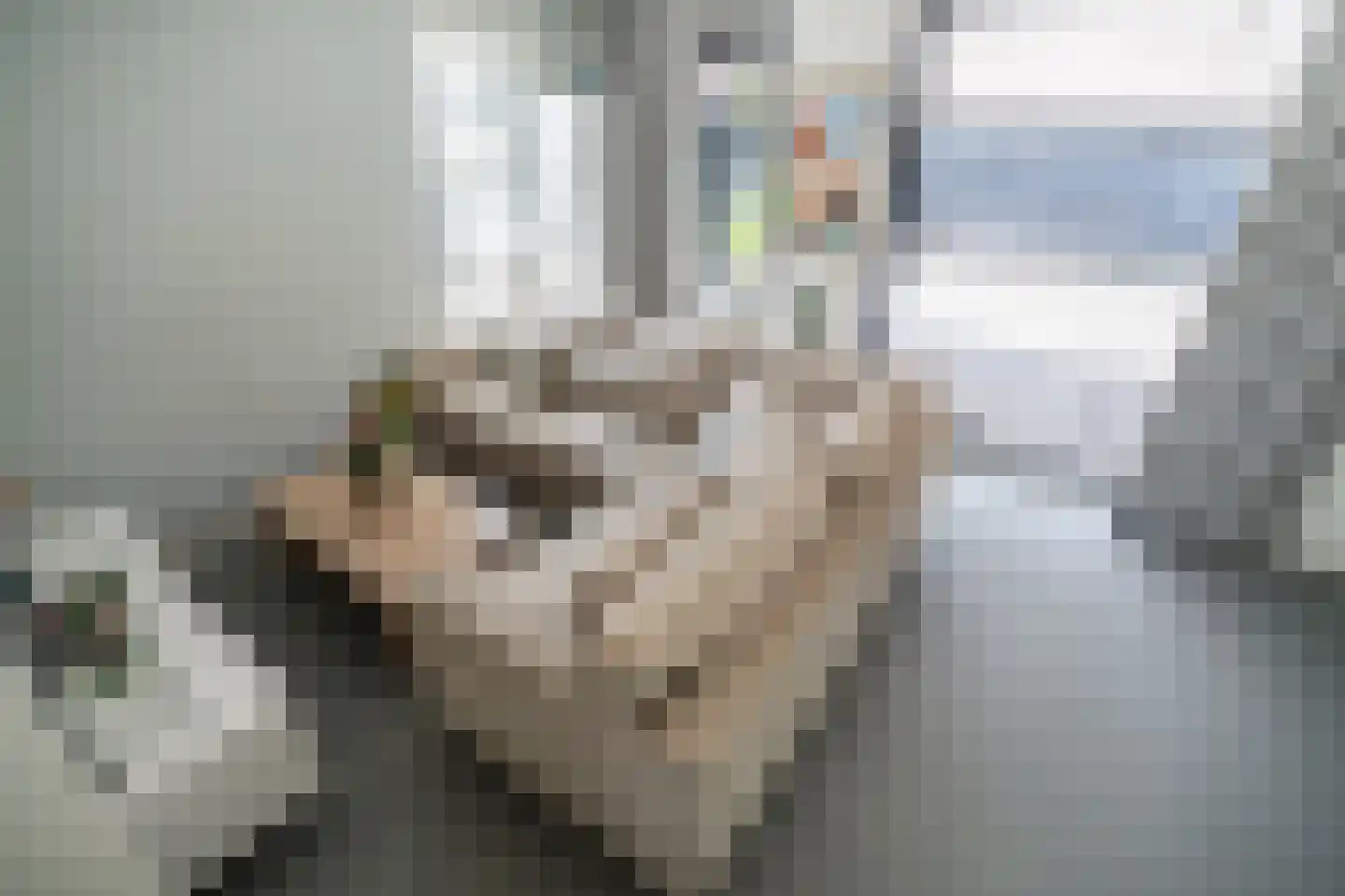 Molenstraat 57 Leiden thumbnail 4