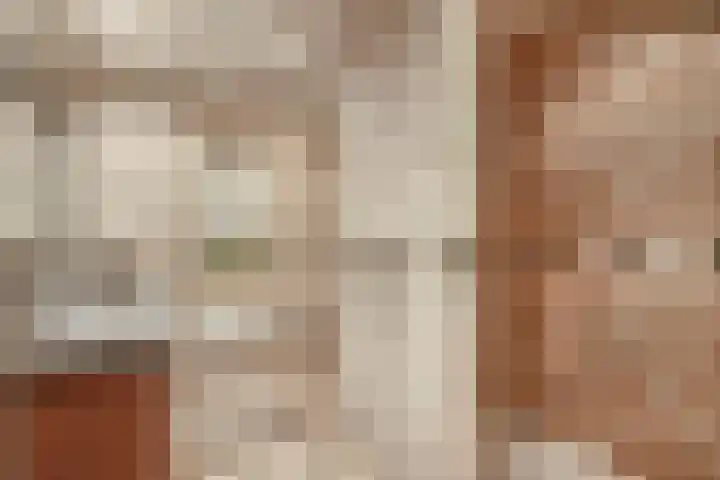 Molenstraat 62 Deurne thumbnail 33