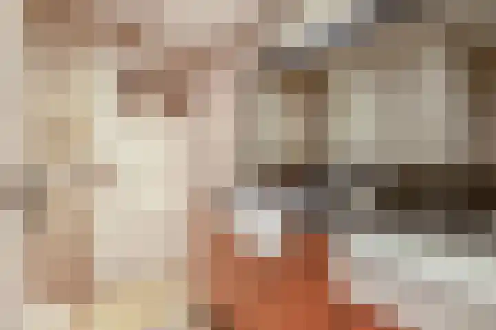 Molenstraat 62 Deurne thumbnail 35