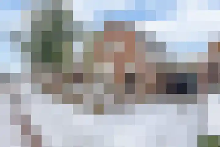 Molenstraat 62 Deurne thumbnail 43