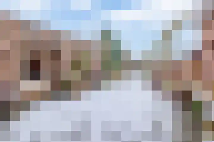 Molenstraat 62 Deurne thumbnail 47