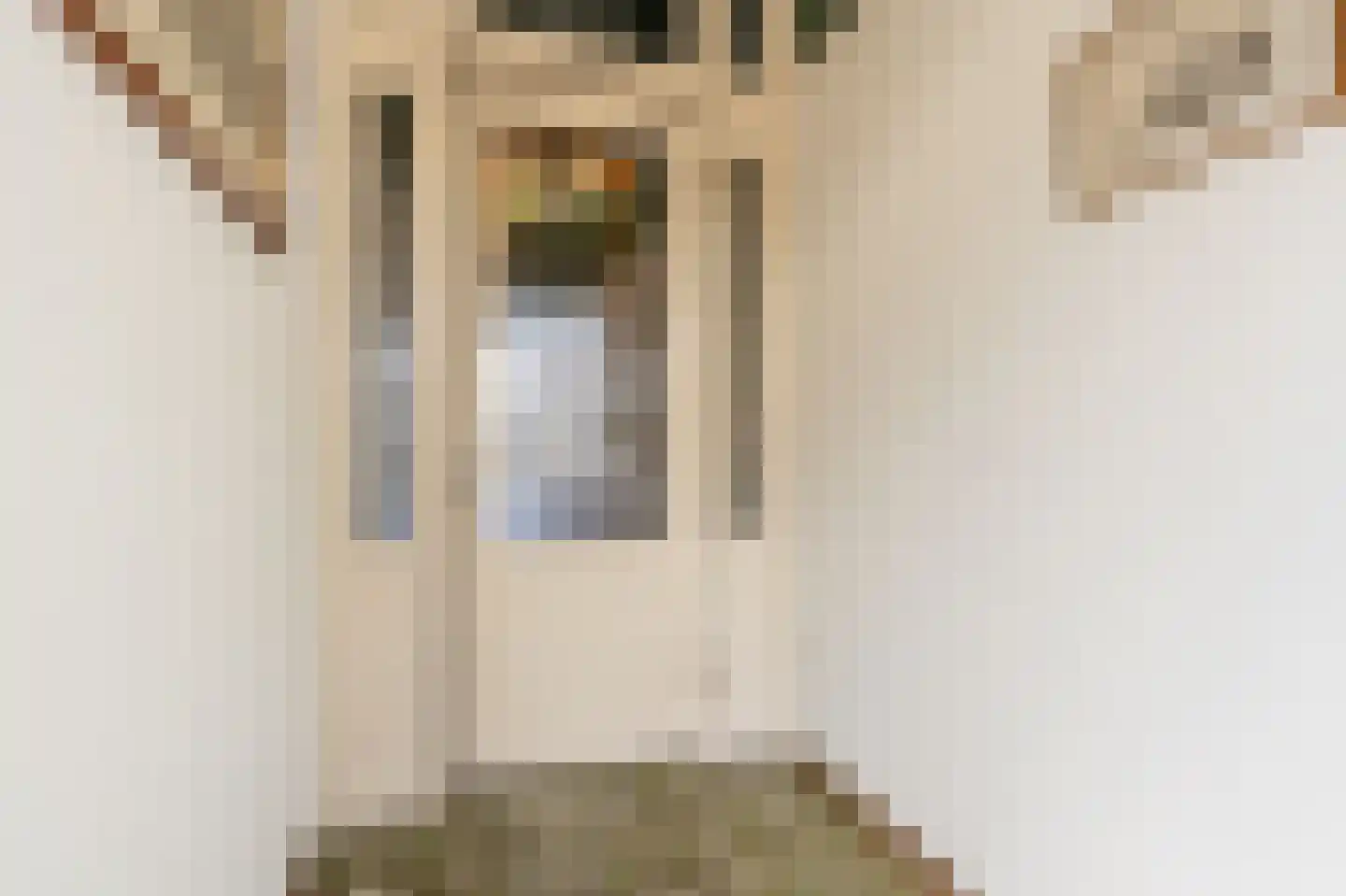 Molenstraat 66 Strijen thumbnail 11
