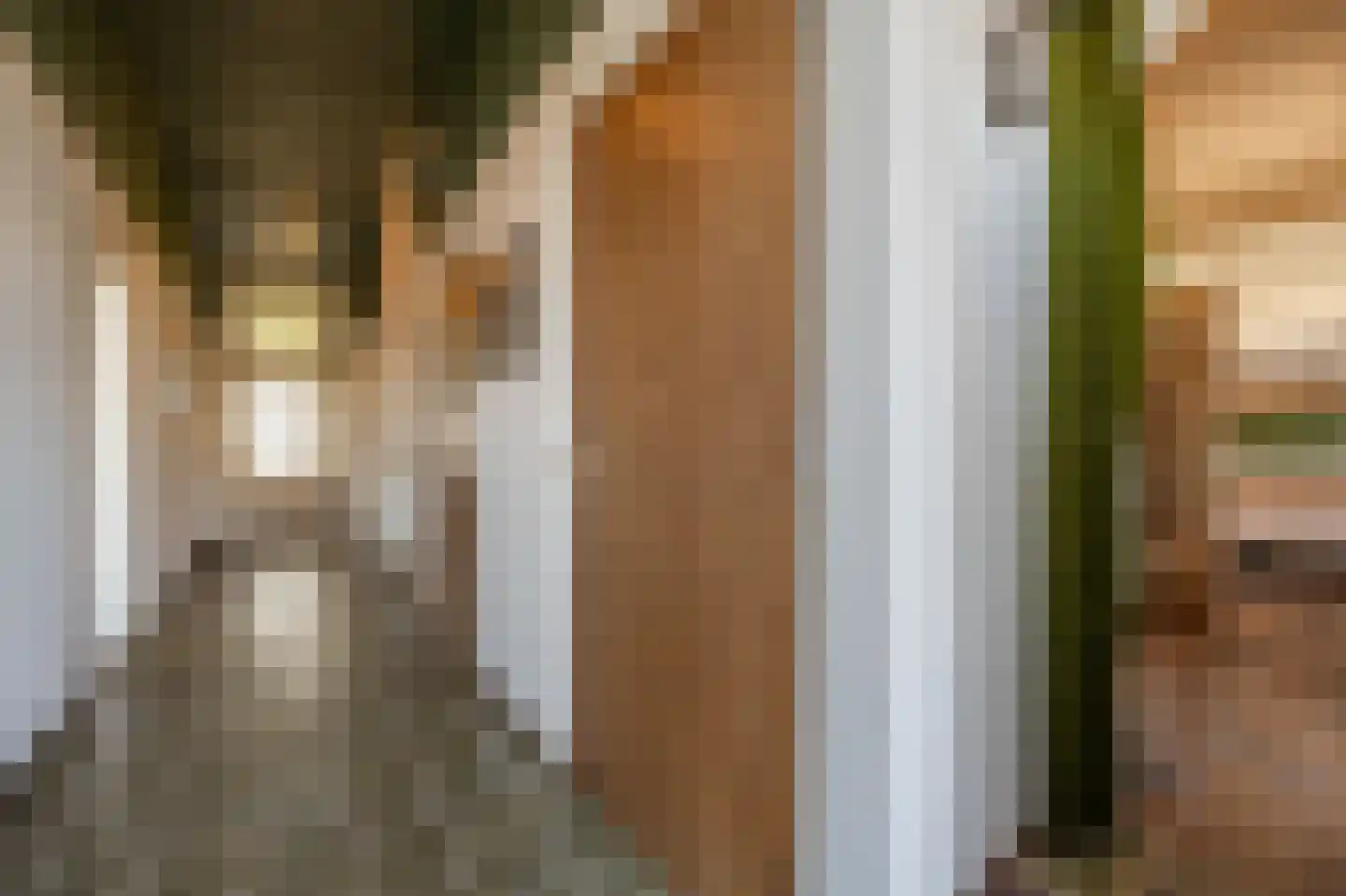 Molenstraat 66 Strijen thumbnail 19