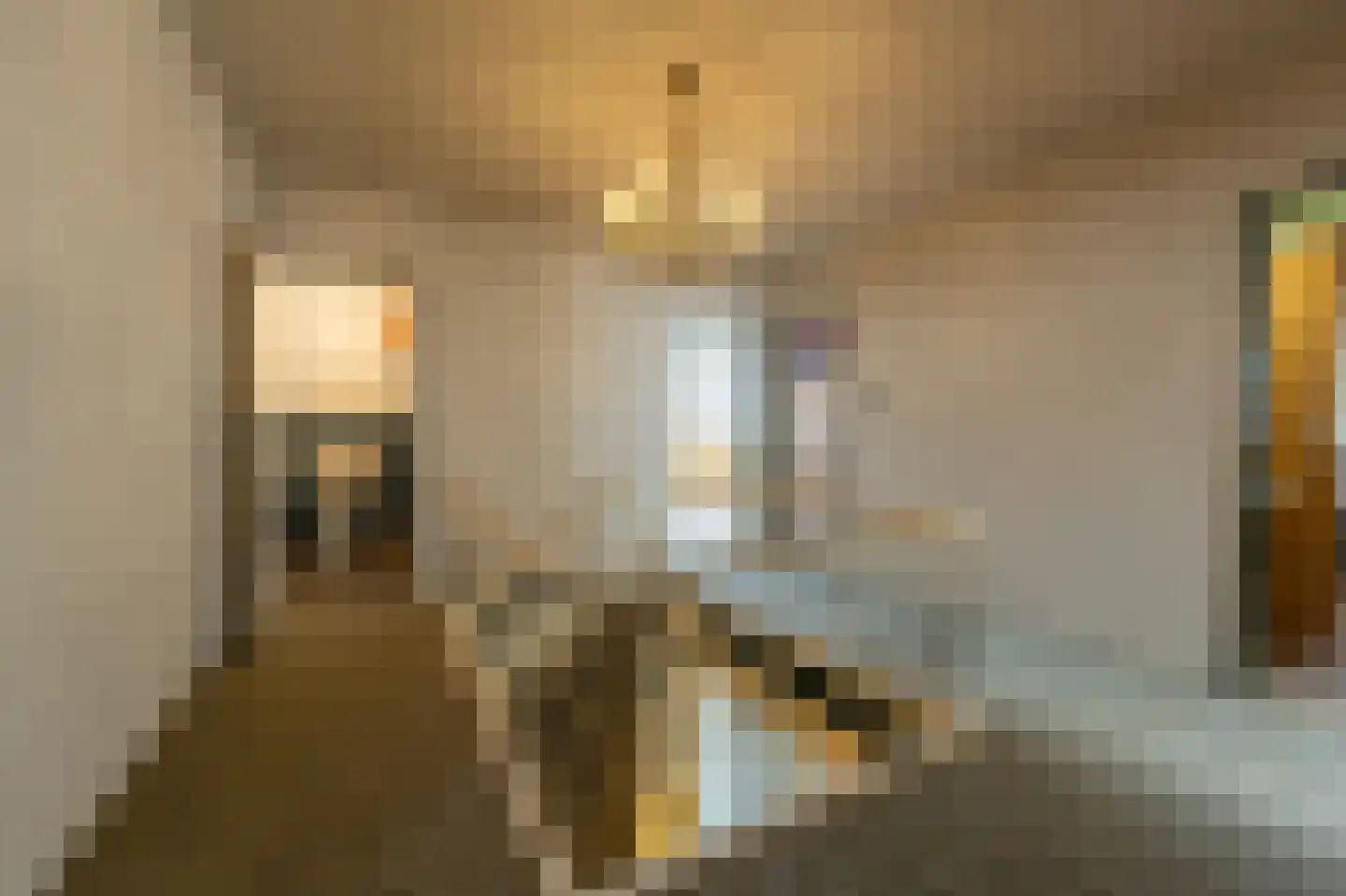 Molenstraat 66 Strijen thumbnail 33