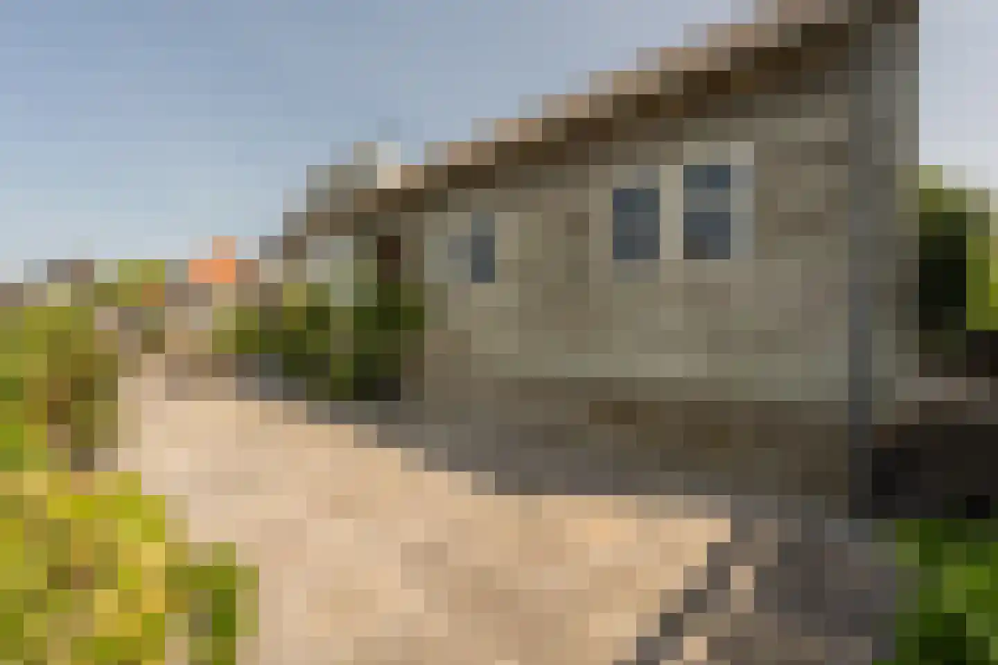 Molenstraat 66 Strijen thumbnail 52