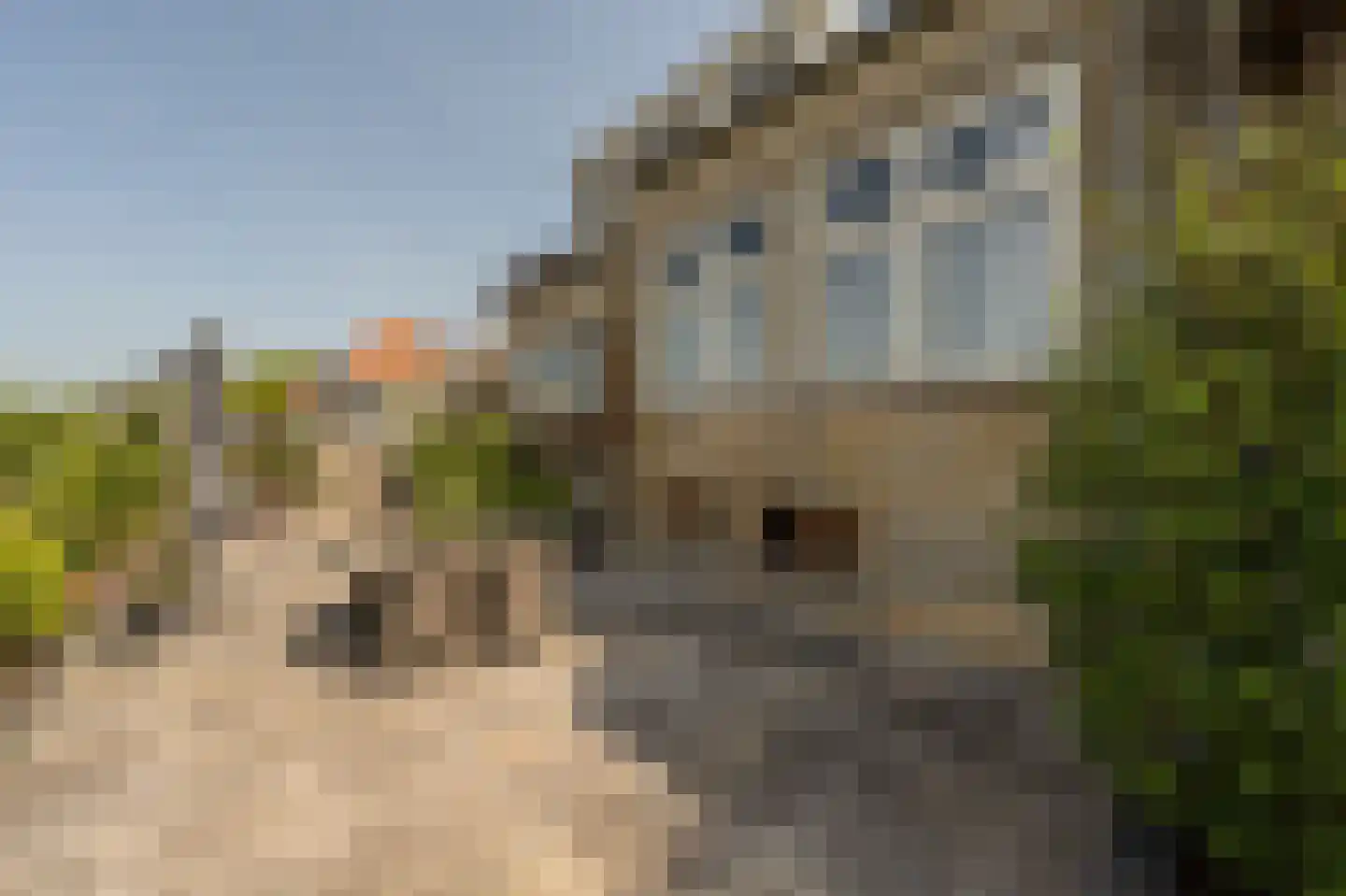 Molenstraat 66 Strijen thumbnail 53